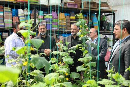 افتتاح چهار مجموعه گلخانه ای در اردبیل