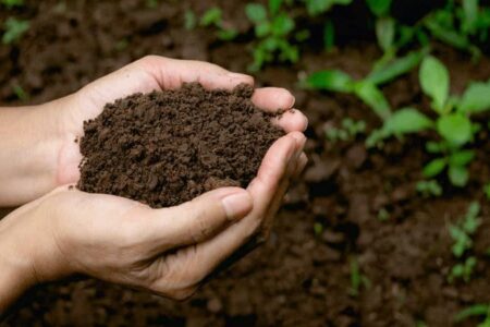 هشتمین کاروان ارتقای بهره وری الگوی کشت، پنجم آذر در اردبیل برگزار می شود