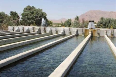هشدار اداره کل شیلات استان اردبیل در خصوص شیوع  احتمالی بیماری های عفونی مزارع ماهیان سردآبی