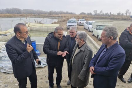 برداشت ماهیان گرم آبی از مزارع شهرستان پارس آباد