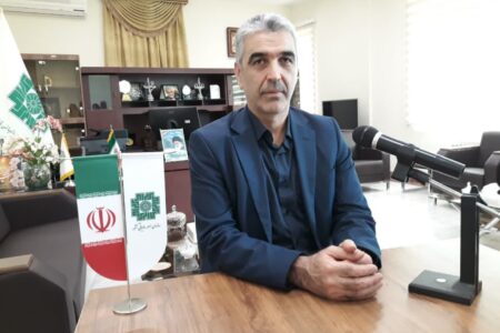 جرایم مودیان مالیاتی به مناسبت دهه فجر بخشیده می‌شود