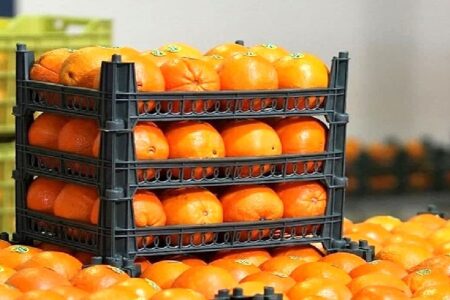 توزیع ۱۲۰ تن سیب قرمز و۱۸۰تن پرتغال شب عید در شهرستان اردبیل