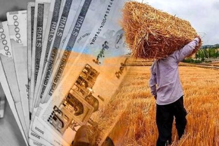 امهال 529 فقره تسهیلات بانکی در زمستان سال گذشته
