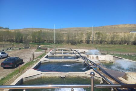 بازگشت به چرخه تولید مزرعه ۳۵ تنی ماهیان سردآبی روستای حکیم قشلاقی شهرستان اردبیل