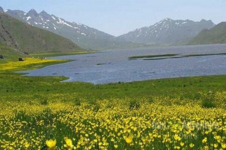 تالاب نئور با رویکرد گردشگری سامان دهی می شود