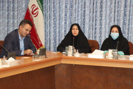 هم‌اندیشی متخصصان برای ارتقای سلامت روان جامعه در روز روانشناس و مشاور
