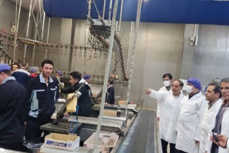 سازمان جهاد کشاورزی اردبیل: کمبودی در تولید و عرضه مرغ وجود ندارد