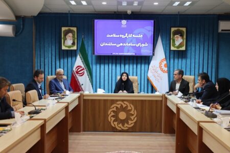 خدمات رسانی به 14 هزار سالمند تحت پوشش بهزیستی تقویت می شود