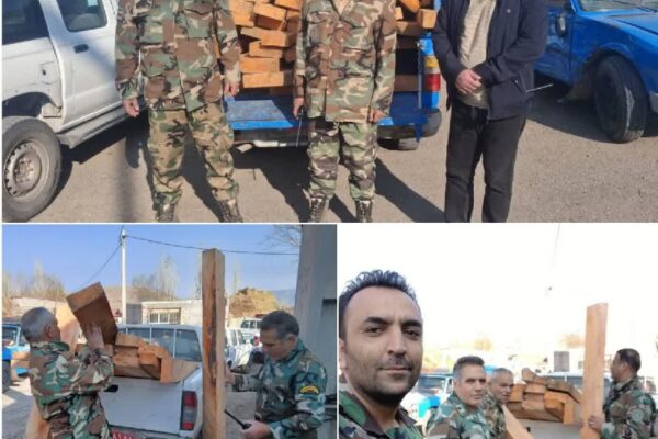 کشف و ضبط ۷۰ اصله چوب آلات جنگلی در استان اردبیل