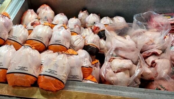 افزایش ۱۱ درصدی تولید گوشت مرغ در استان اردبیل