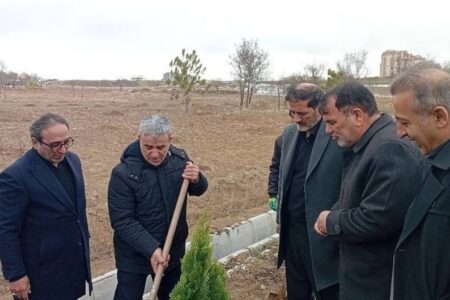 توزیع یک میلیون نهال تا پایان سال