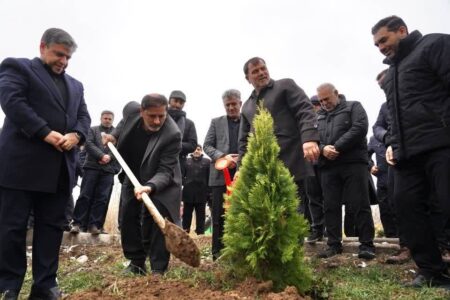 کاشت ۱۶۶ درخت مثمر در شورابیل اردبیل