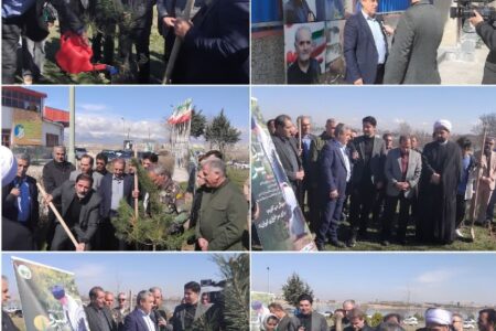 پویش نهالکاری سرو ایران در استان اردبیل اجرا شد