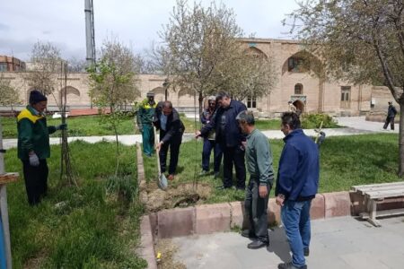 غرس صد اصله نهال در محوطه بقعه تاریخی شیخ کلخوران اردبیل
