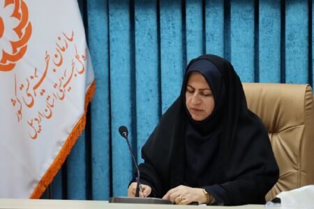 بیش از ۹۲ هزار نفر از خدمات مشاوره‌ای و آموزشی بهزیستی اردبیل بهره‌مند شدند