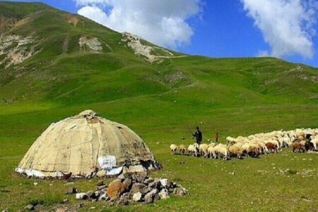 اجرای طرح برداشت اطلاعات مکان‌محور عشایر از هفته آینده در ۱۵ استان